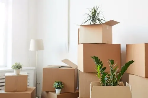 Moving From New York to New Jersey, Connecticut, or Philadelphia: What Changes